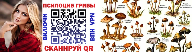 Псилоцибиновые грибы ЛСД  Волжский 